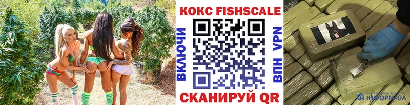 COCAIN Fish Scale  продажа наркотиков  Славск 