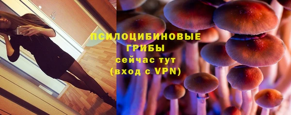 a pvp Алексеевка