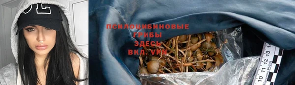 a pvp Алексеевка